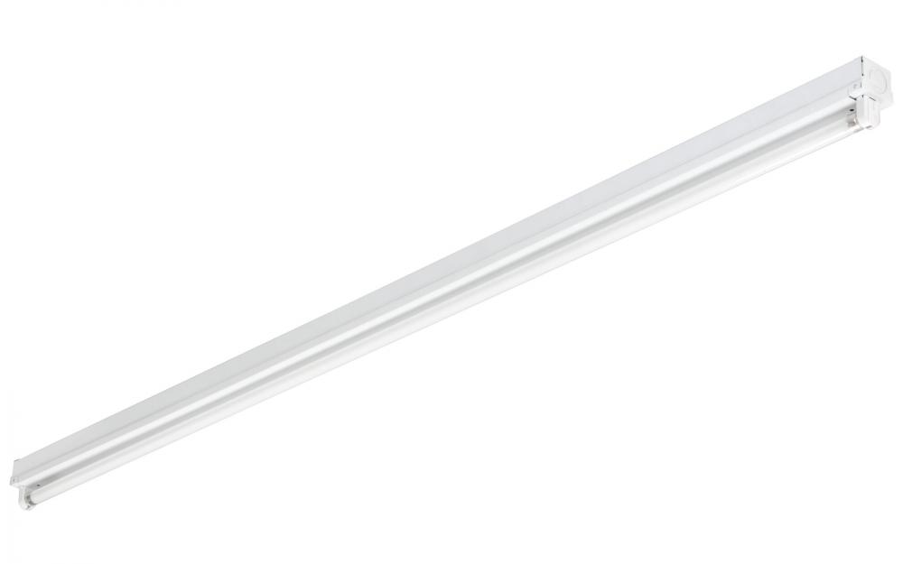 Fluorescent Light