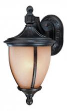 Dolan Designs 9151-114 - Polished Brass Wall Lantern